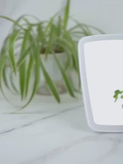 Portable LED Makeup Mirror